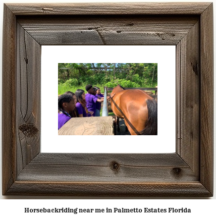 horseback riding near me in Palmetto Estates, Florida